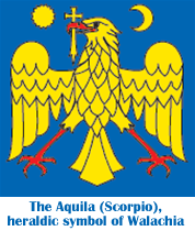 Aquila