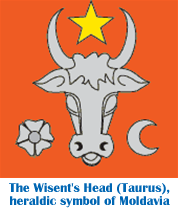 Wisent's Head